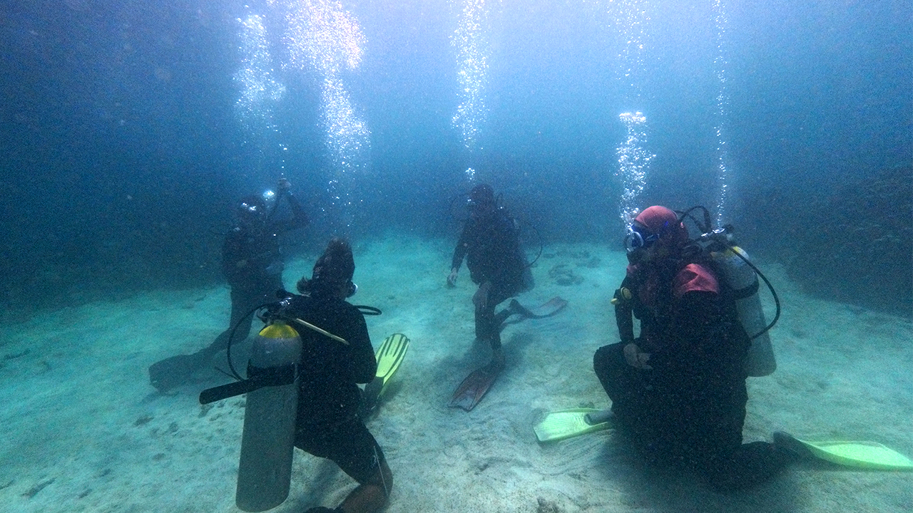 Gambar berita: Tiga Dosen Jurusan Biologi FMIPA Universitas Lampung Mengikuti Pelatihan dan Sertifikasi Open Water Diver